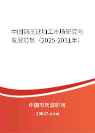 中國鋼壓延加工市場研究與發(fā)展前景預(yù)測（2025-2031年）