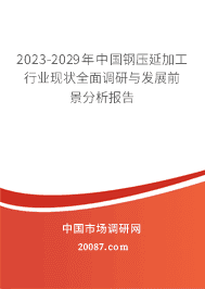 2023-2029年中國鋼壓延加工行業(yè)現(xiàn)狀全面調(diào)研與發(fā)展前景分析